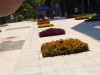 DSC00079.jpg